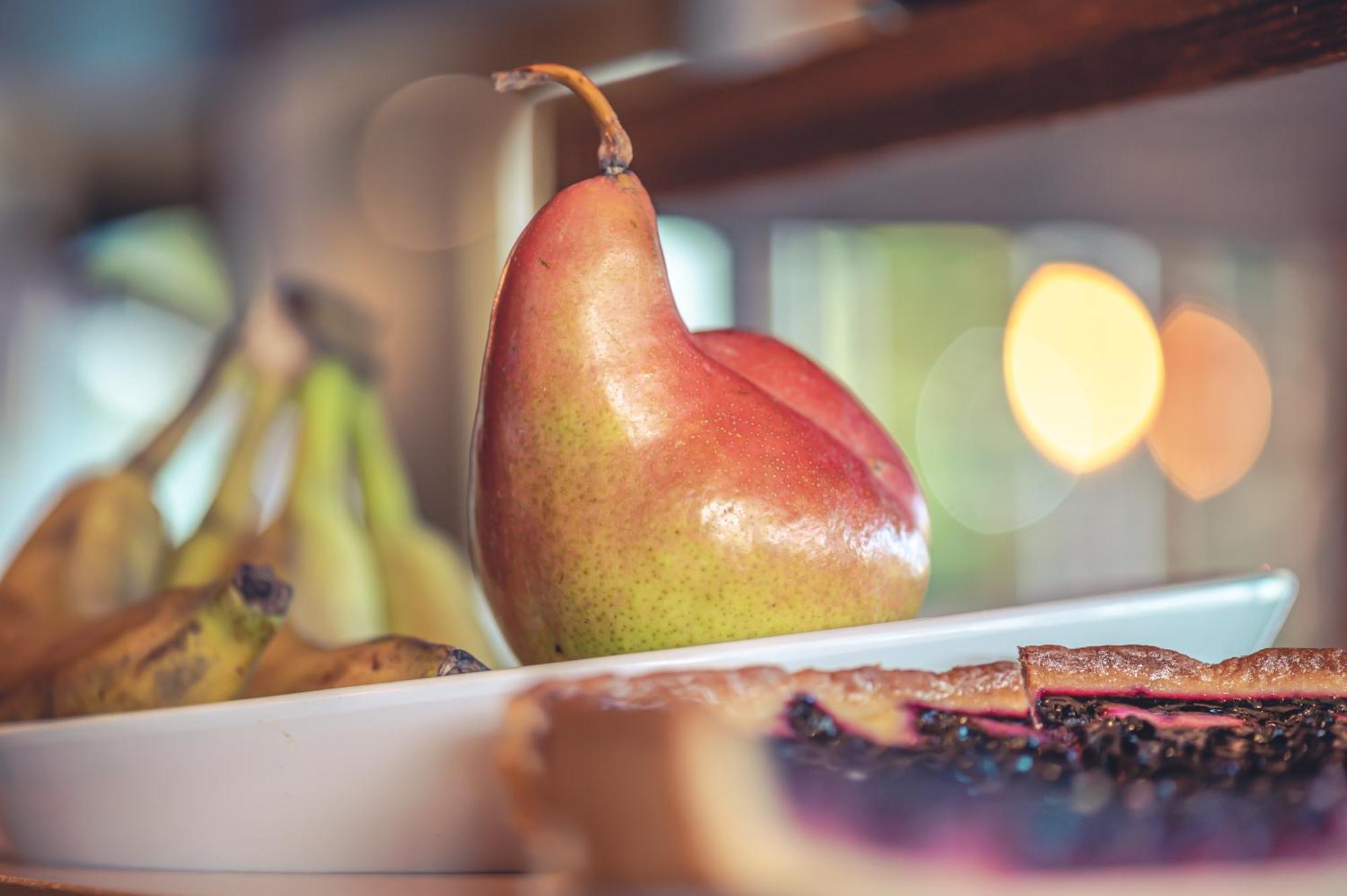 Logis Hotel Restaurant Le Plantevin Propiac Екстериор снимка